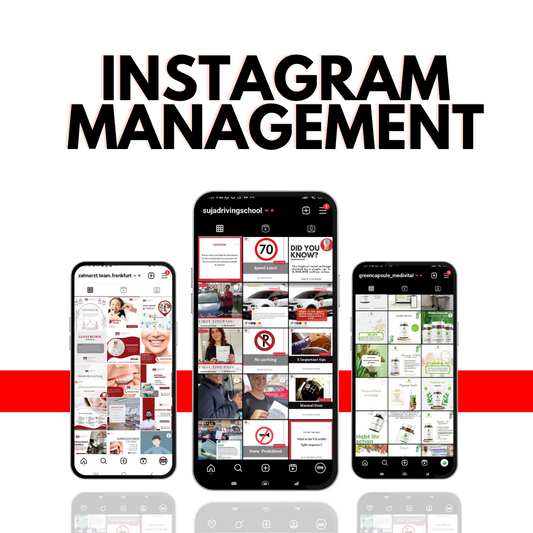 Package InstaGrowth - Full Instagram Management